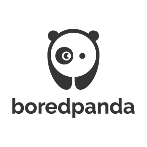 Bored-Panda-PNG
